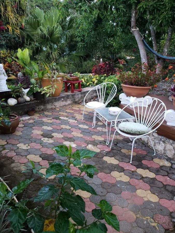 Cliffe Ranch Villa Mandeville Dış mekan fotoğraf