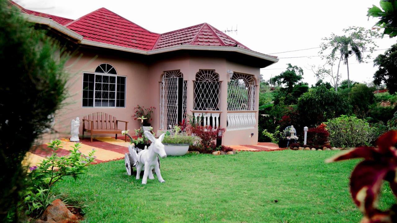 Cliffe Ranch Villa Mandeville Dış mekan fotoğraf