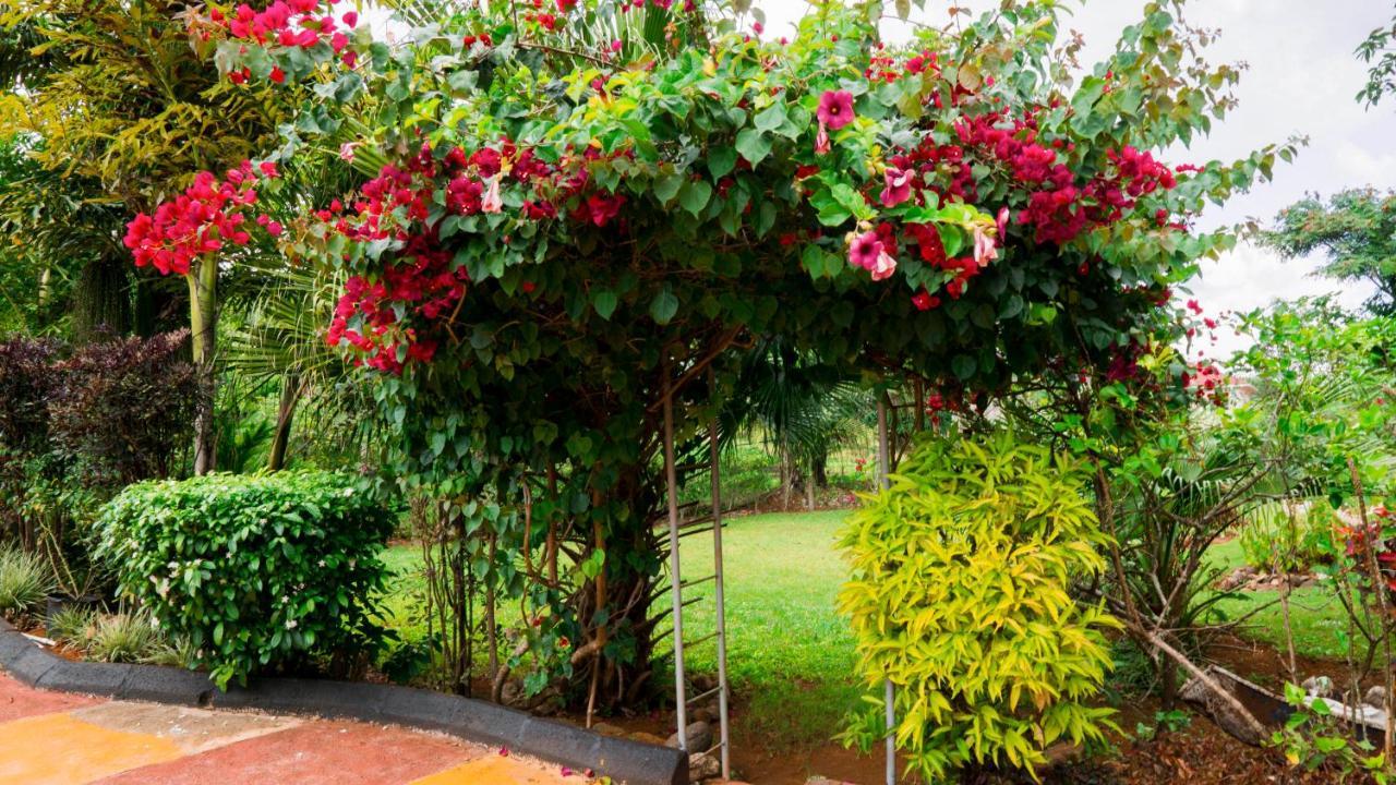 Cliffe Ranch Villa Mandeville Dış mekan fotoğraf